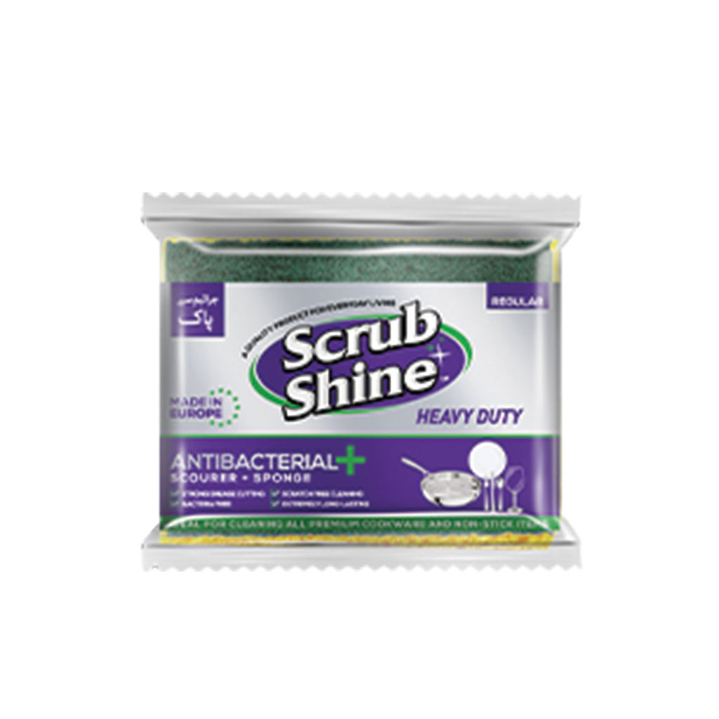 Scrub Shine Anti Bacterial Reg Sponge